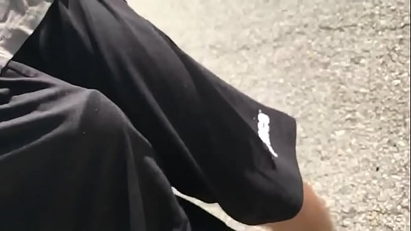 A Passeiar O Cao E Elas Olham