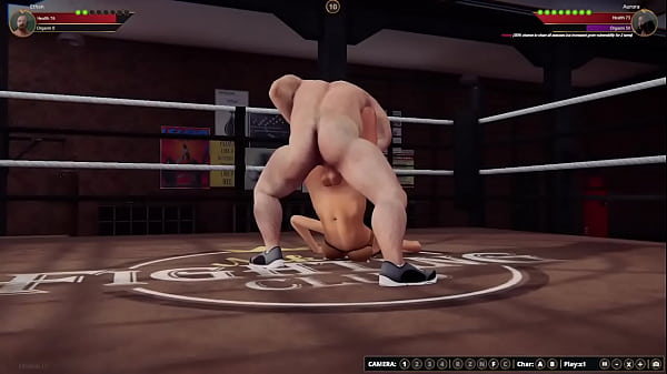 Ethan Vs Aurora II (Stripped Fighter 3D)
