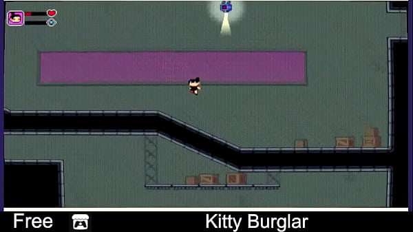 Kitty Burglar