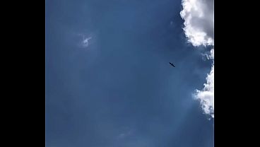 FLYING HIGH