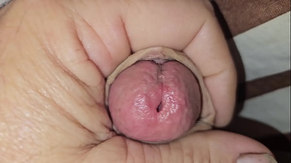 Dkwone1 Closeup