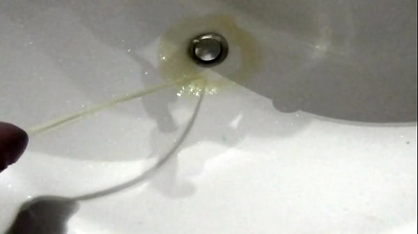 Enormous Yellow Pee In Sink