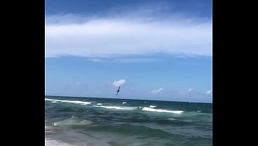 PELICAN DIVING INTO OCEAN