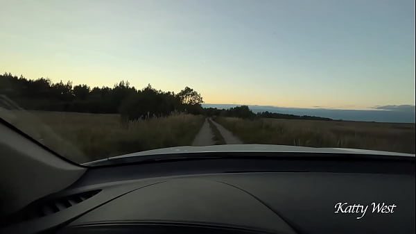 Picked Up Doll 18 Yo And Divorced For Sex In The Car