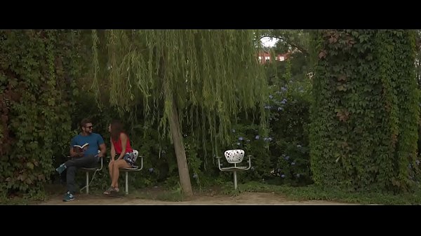 Public Bush Go Around