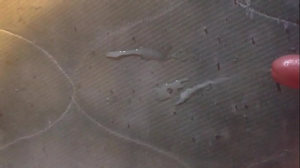 Cum Shot Onto Naughty Mattress