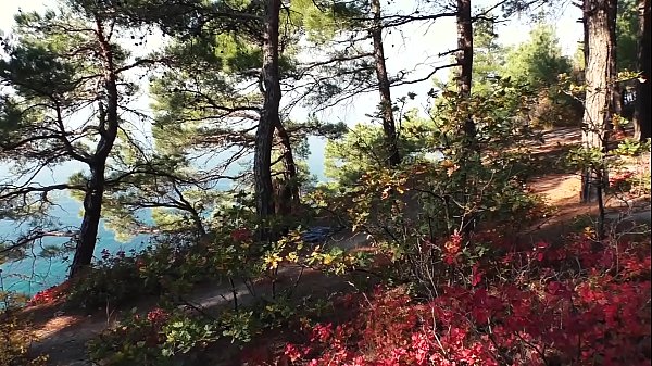 Незнакомец в маске обезьяны поймал в лесу русскую туристку, когда она мастурбировала. Секс на улице