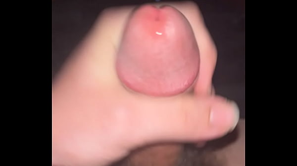 BidDaddy