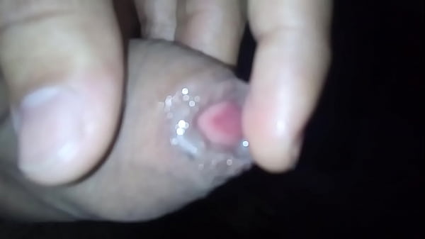 Pinto Melado