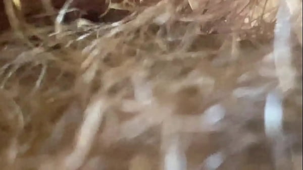 Extreme Close Up Sizable Button Vagina Asshole Muzzle Giantess Kink Video Hairy Physique