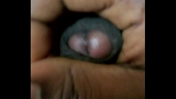 MOV 1372