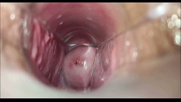 Vaginal Orgasmo