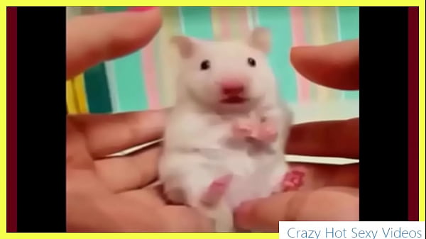 I Am Babby