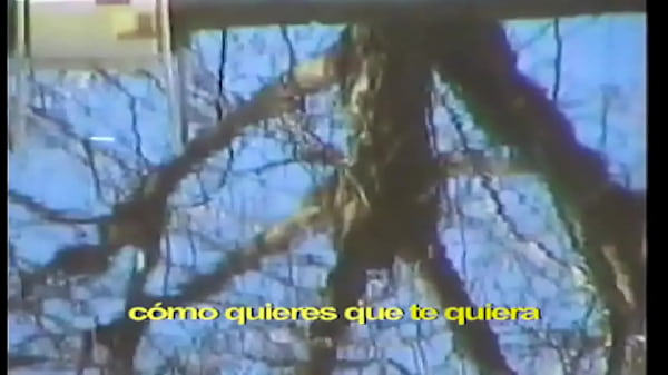 Ce Changan :3 - Nunca Toy :( (oufacial Vidio Musik)