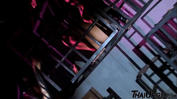 Asian Madam Masterring The Submissives