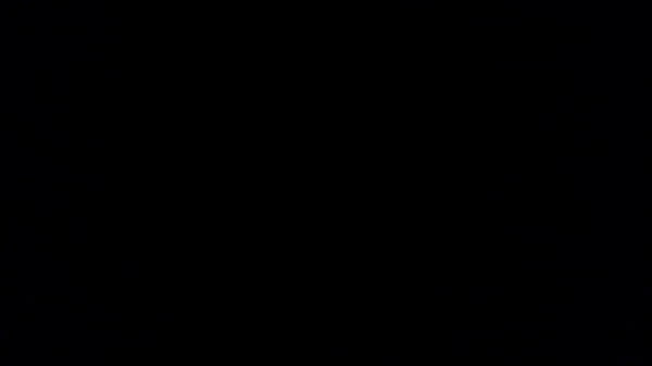 IMG 0217.MOV