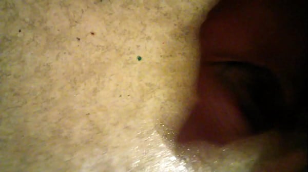 Video:4308