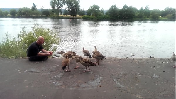 Mosel Juni