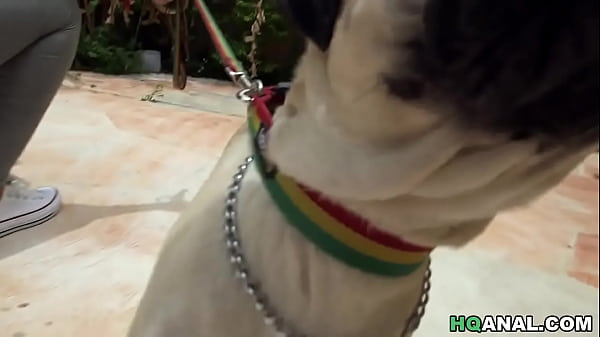 Diamond Kitty Gets Assfucked After Dog Walking By Sean Lawless