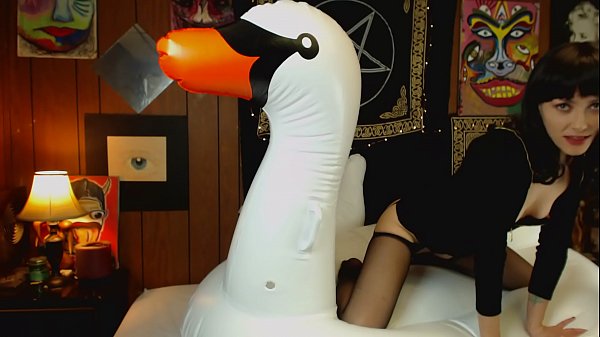 AdalynnX - Inflatable Swan Fun 1