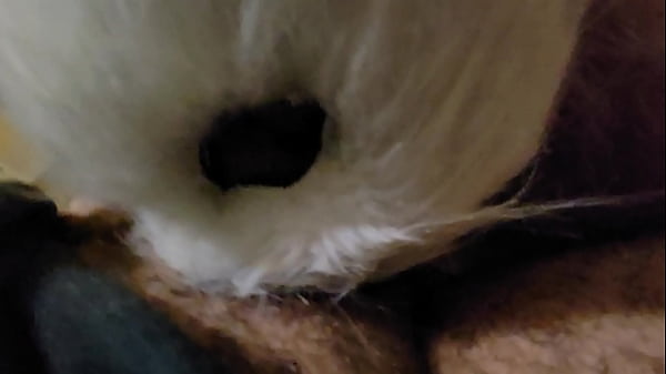 Curvy Fox Wifey Throating And Getting On All Fours.
