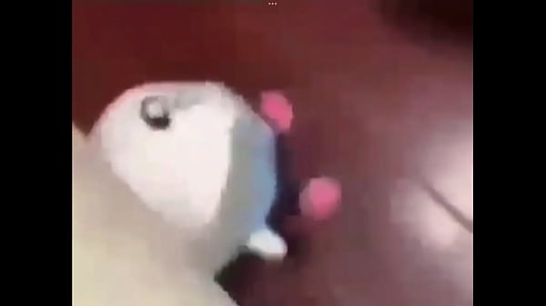 Fat Sans Plushie Singing