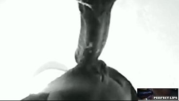 IMPECCABLE LIPS|-goes Black An White With A Drippy Rear LIPS!!!