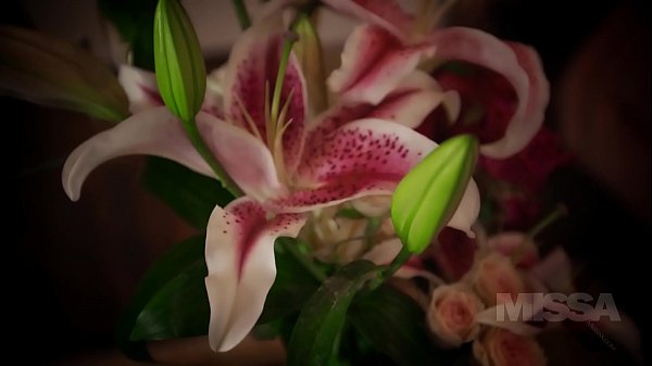 MissaX.com - Penelope Ep.1 - Preview
