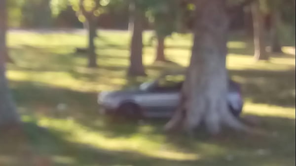 Espiando En La Autopista Richieri