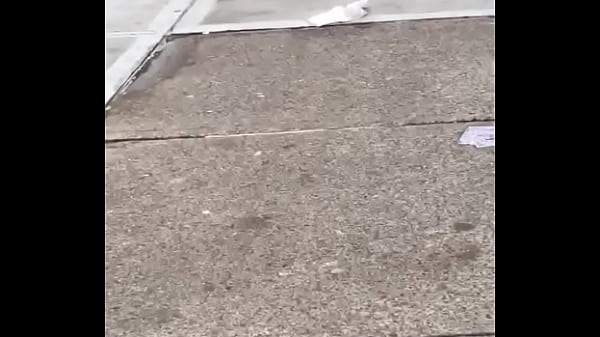 Hood Bitch Fat Cheeks Hoe
