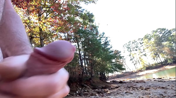 Exquisite View
