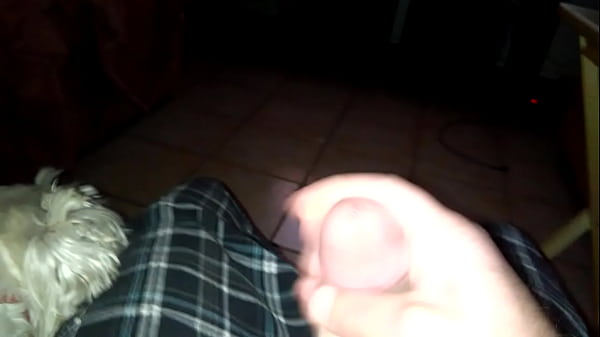 VID 20160313 013453