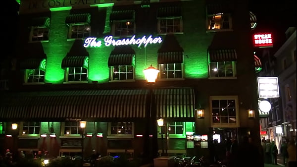 The Grasshopper In The City Center Of Amsterdam
