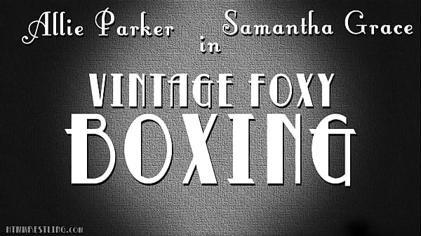 Lingerie Fighting Boxing Hotties