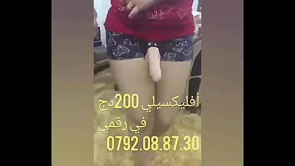 Chikoura Arabian