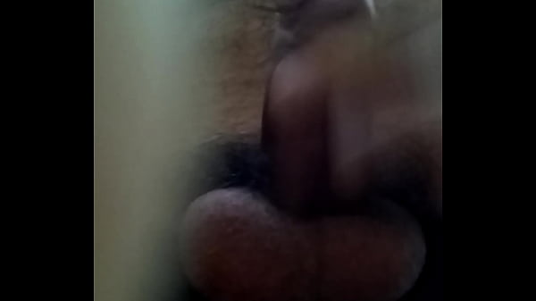 O Meu Sexo