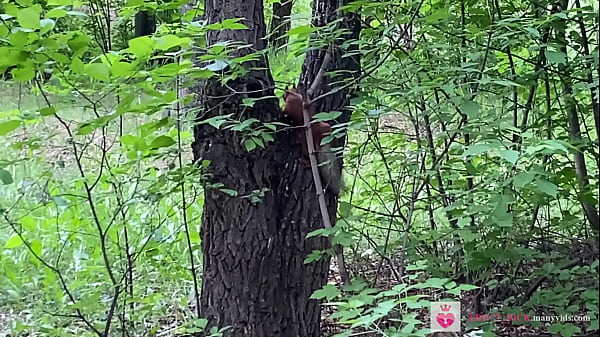 Pissing 18 Year Old Russian Chestnut-haired Is Embarrassed But Makes A Golden Shower In The Park Nice Slit Vik Freedom