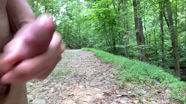 On The Trail