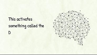 How Geniuses Groom Their Minds.