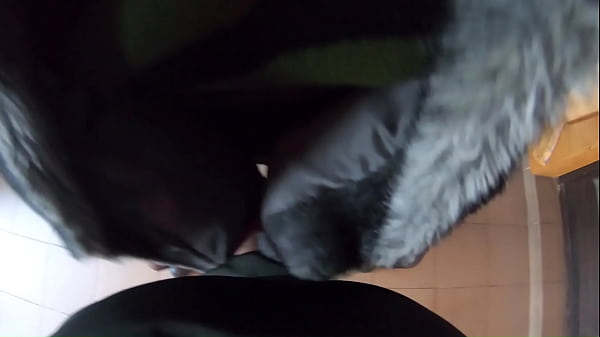 Double Delight With MilfyCalla – Episode 37 Of 47 – Leather, Bj & Rough Doggy- Preview