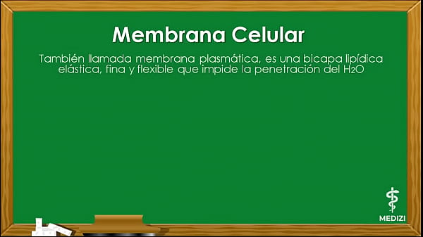 Fisiología Celular - La Célula, Partes Y Funciones
