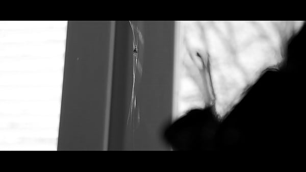 The Isolation Trailer 2